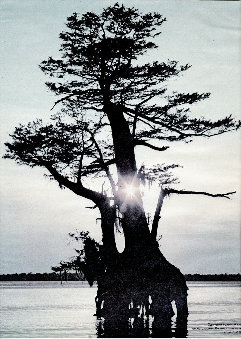 Катетер Бобик сдох